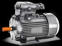 Электродвигатель ВА200L2