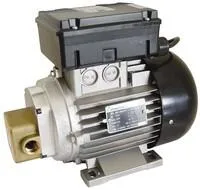 Насос для масла 220в Gespasa EA 88 0.74 kW