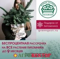 БЕСПРОЦЕНТНАЯ РАССРОЧКА НА ВСЕ РАСТЕНИЯ