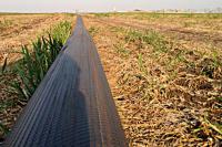 Транспортирующий шланг для системы утилизации навоза Hilcoflex Agro Extra